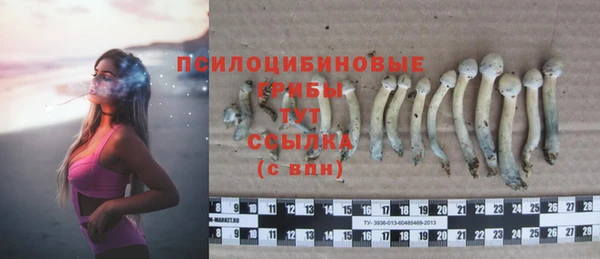 гашик Новокубанск