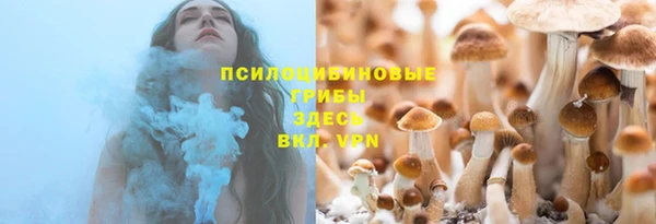 гашик Новокубанск