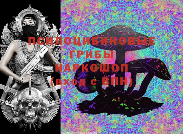 ПСИЛОЦИБИНОВЫЕ ГРИБЫ Няндома