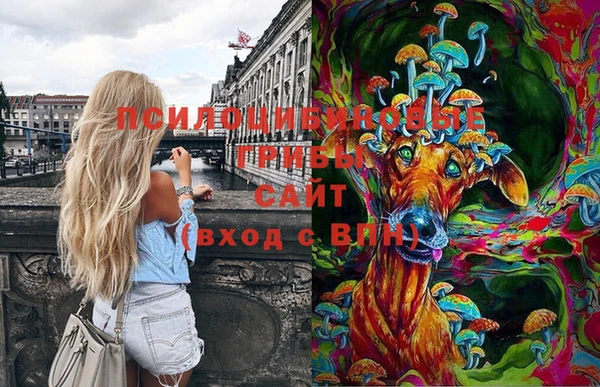 амфетамин Новодвинск