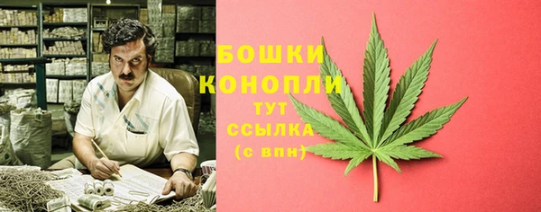 ПСИЛОЦИБИНОВЫЕ ГРИБЫ Няндома